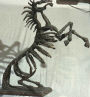 cavallo gesso dx iconaaltri.jpg (3712 byte)