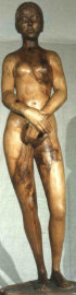nudonoce icona.jpg (2703 byte)