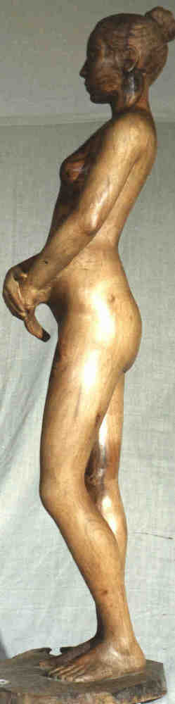 nudonoce sx.jpg (17545 byte)