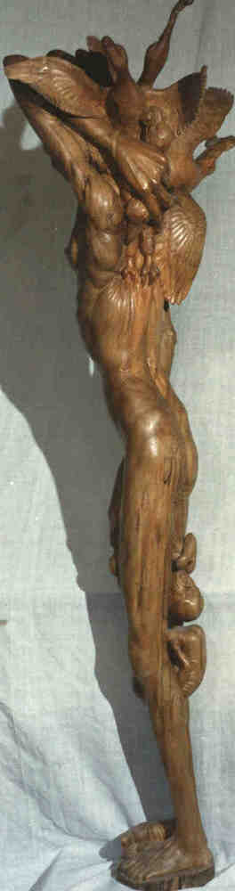 parto lato sx.jpg (18341 byte)