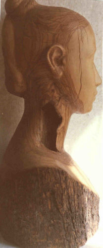 testa olivo dx.jpg (19381 byte)