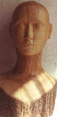testa olivo fr.jpg (8493 byte)