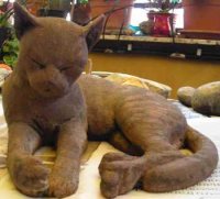 gatto3icona.jpg (10046 byte)