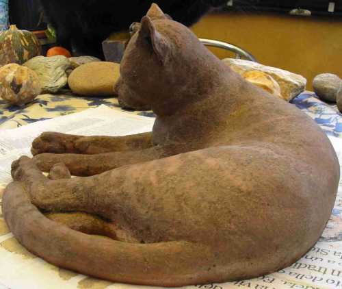 gatto7.jpg (22154 byte)